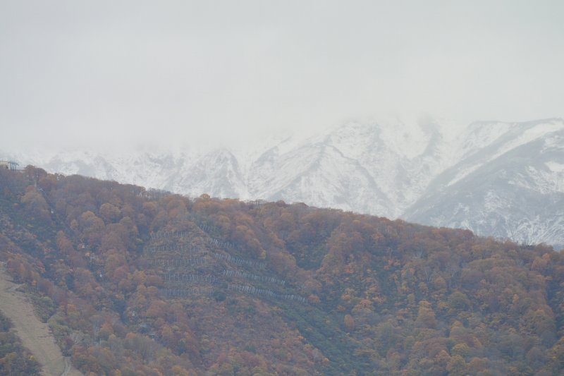 f:id:mannenNA:20201110194409j:plain f:id:mannenNA:20201110194409j:plain