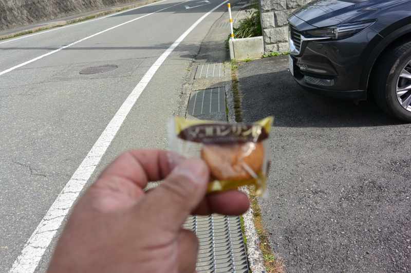 f:id:mannenNA:20201110200013j:plain f:id:mannenNA:20201110200013j:plain