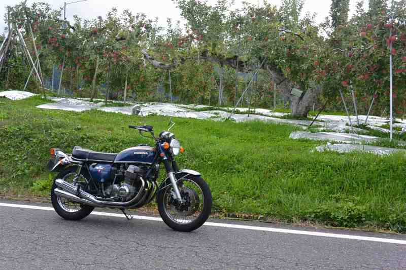 f:id:mannenNA:20201111200724j:plain