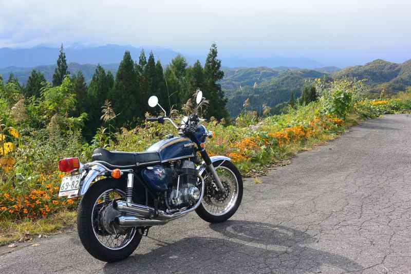 f:id:mannenNA:20201111200900j:plain