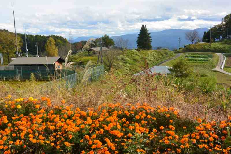 f:id:mannenNA:20201111200915j:plain