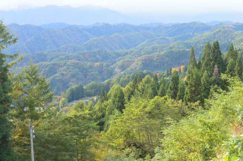 f:id:mannenNA:20201111200956j:plain