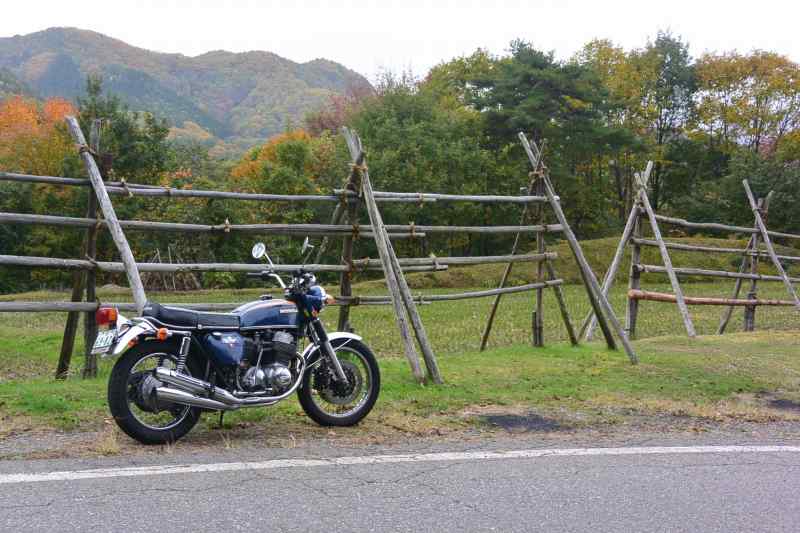 f:id:mannenNA:20201111201137j:plain