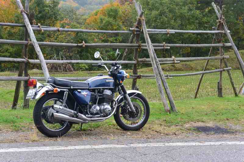 f:id:mannenNA:20201111201154j:plain