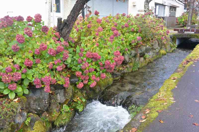 f:id:mannenNA:20201112175550j:plain