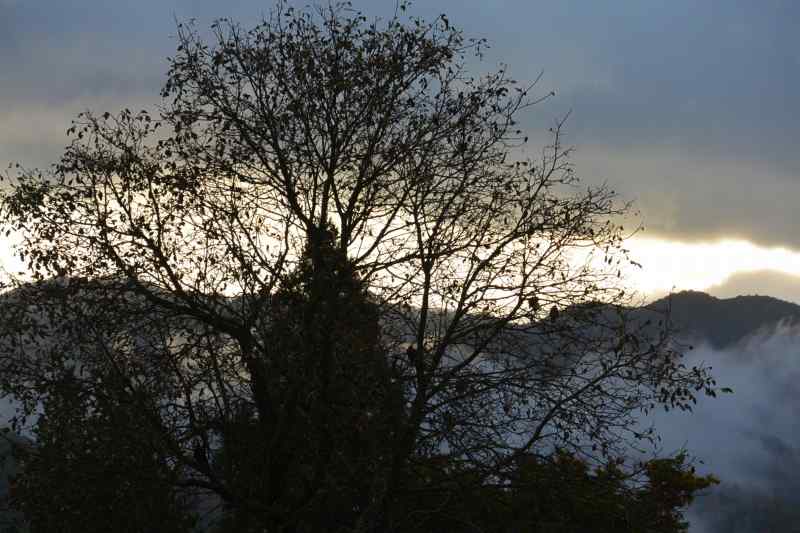 f:id:mannenNA:20201112175705j:plain