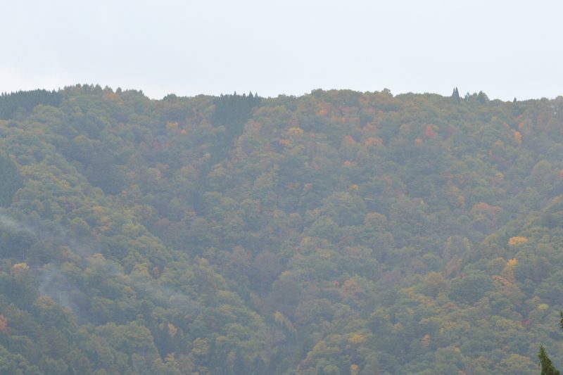 f:id:mannenNA:20201112175735j:plain