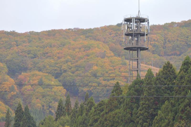 f:id:mannenNA:20201112175823j:plain