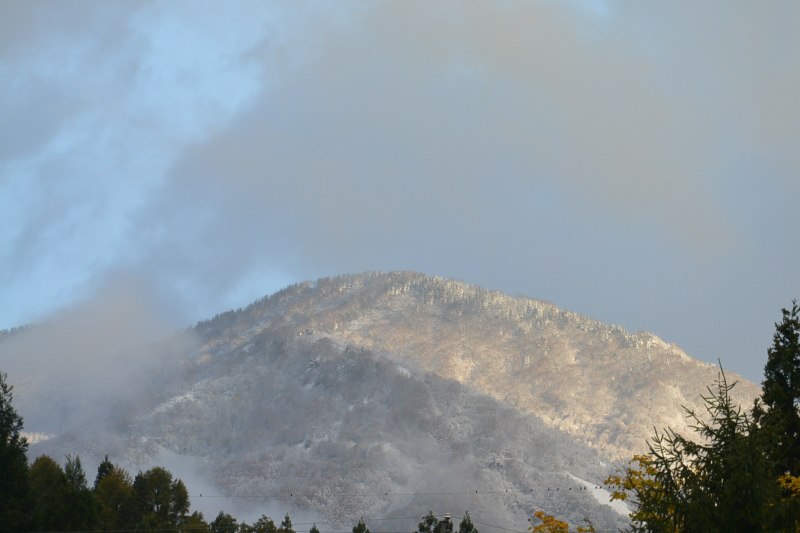 f:id:mannenNA:20201112175848j:plain