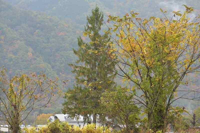 f:id:mannenNA:20201112175932j:plain