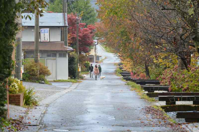 f:id:mannenNA:20201112180056j:plain