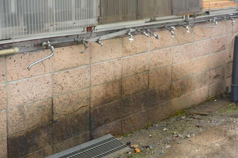 f:id:mannenNA:20201112180116j:plain