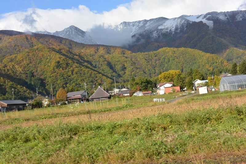 f:id:mannenNA:20201116193731j:plain