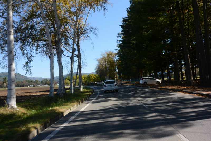 f:id:mannenNA:20201118180700j:plain