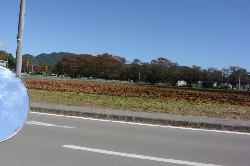 f:id:mannenNA:20201118180751j:plain