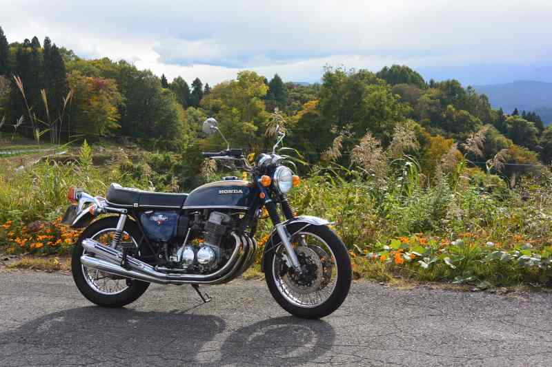 f:id:mannenNA:20201119173001j:plain