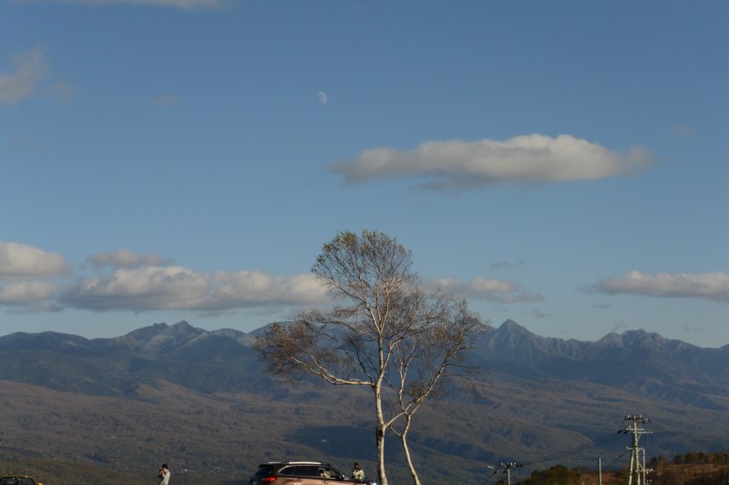 f:id:mannenNA:20201119174004j:plain