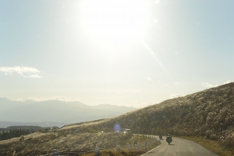 f:id:mannenNA:20201119174116j:plain