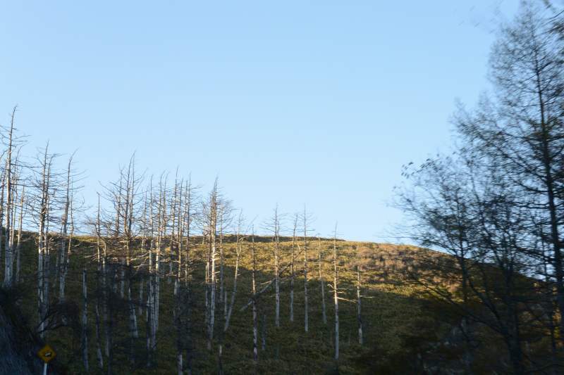 f:id:mannenNA:20201119174142j:plain