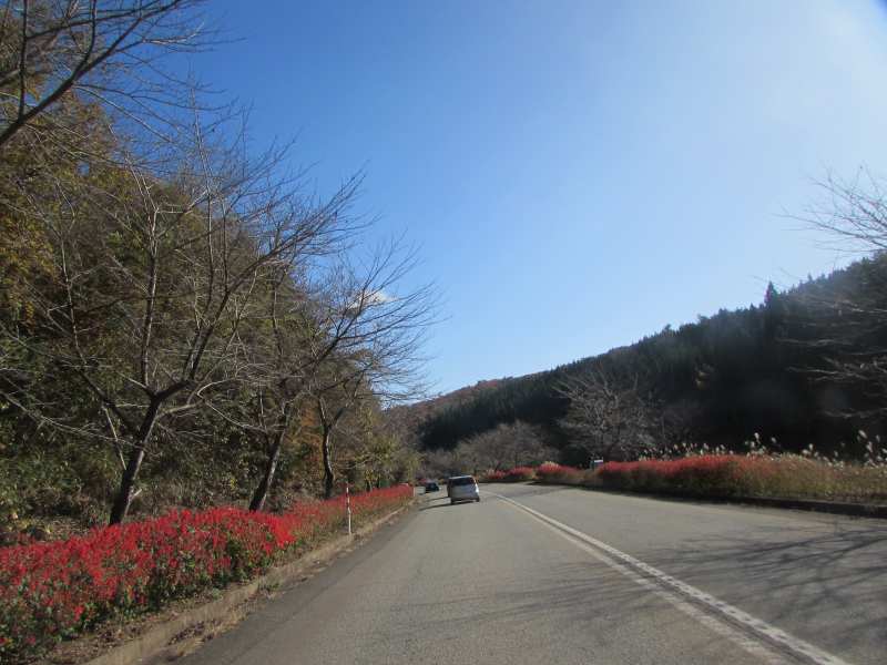 f:id:mannenNA:20201123193839j:plain