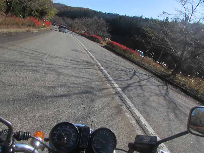 f:id:mannenNA:20201123193854j:plain