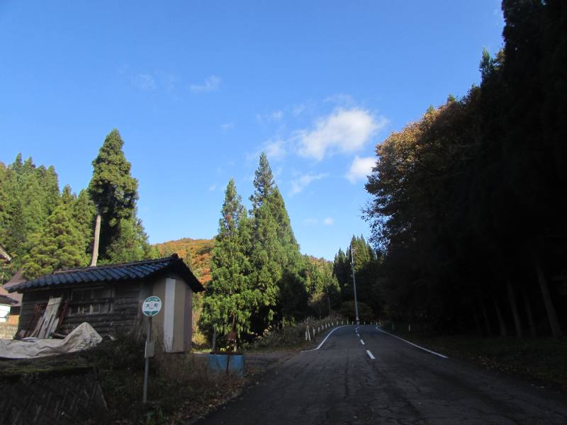 f:id:mannenNA:20201123193911j:plain