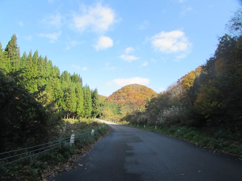 f:id:mannenNA:20201123193927j:plain