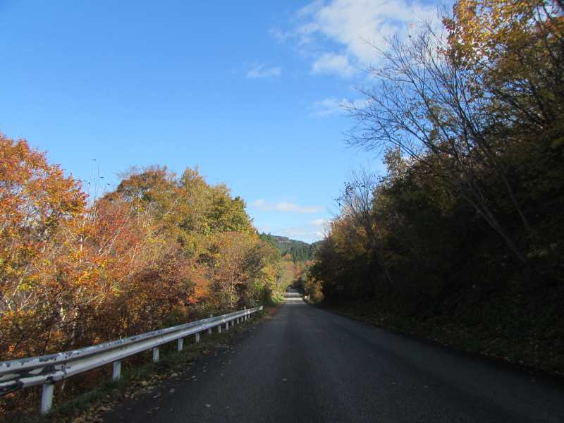 f:id:mannenNA:20201123193943j:plain