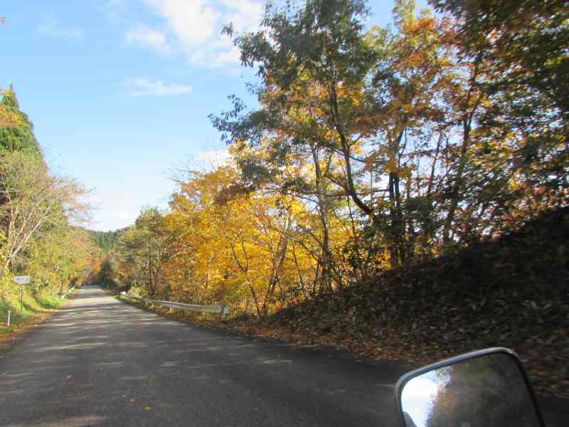 f:id:mannenNA:20201123194002j:plain