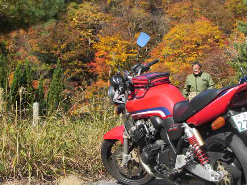 f:id:mannenNA:20201123194106j:plain