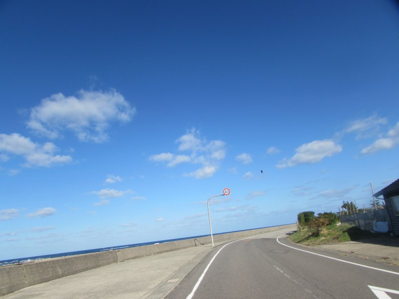 f:id:mannenNA:20201125190804j:plain