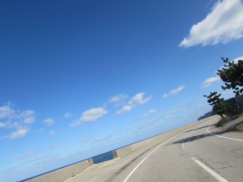 f:id:mannenNA:20201125190826j:plain