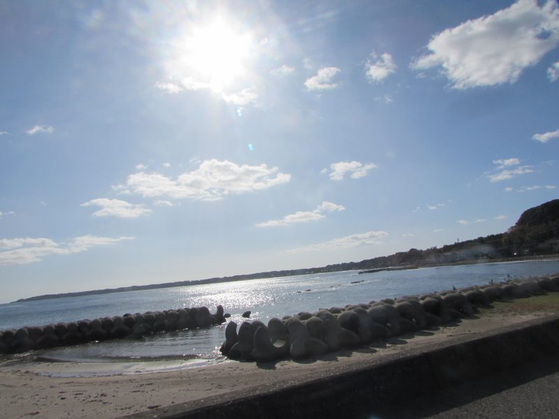 f:id:mannenNA:20201125191209j:plain