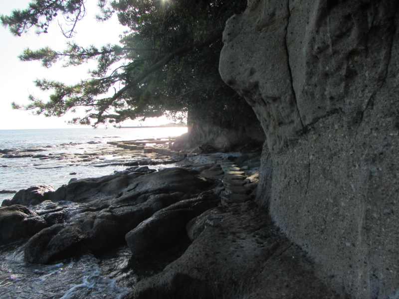 f:id:mannenNA:20201126184925j:plain