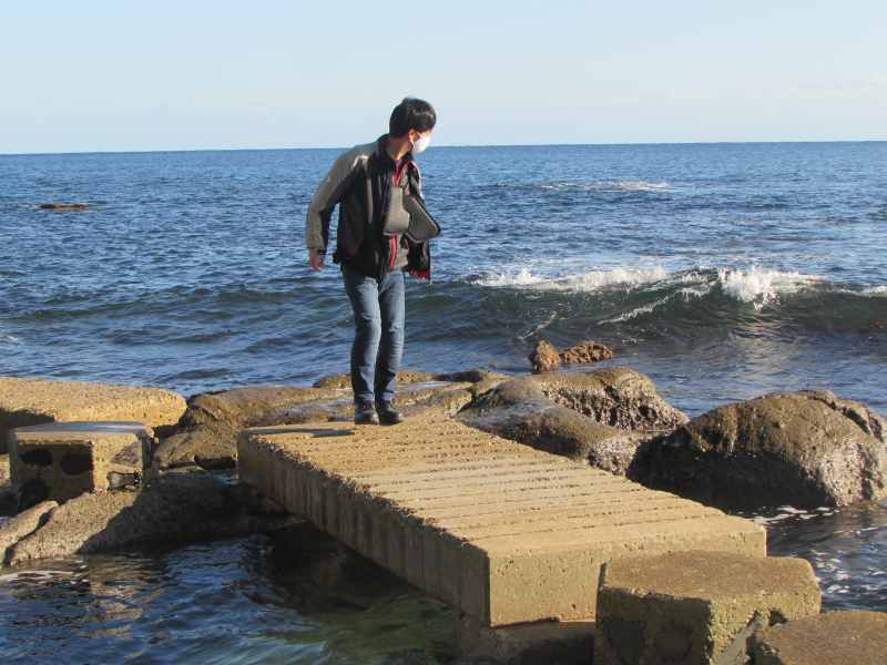 f:id:mannenNA:20201126185055j:plain