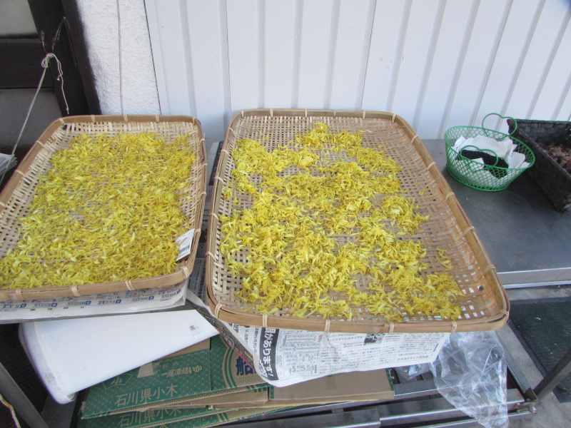 f:id:mannenNA:20201126185313j:plain