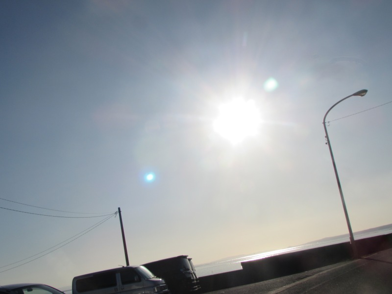 f:id:mannenNA:20201126185533j:plain