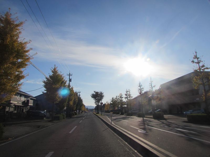 f:id:mannenNA:20201130202810j:plain