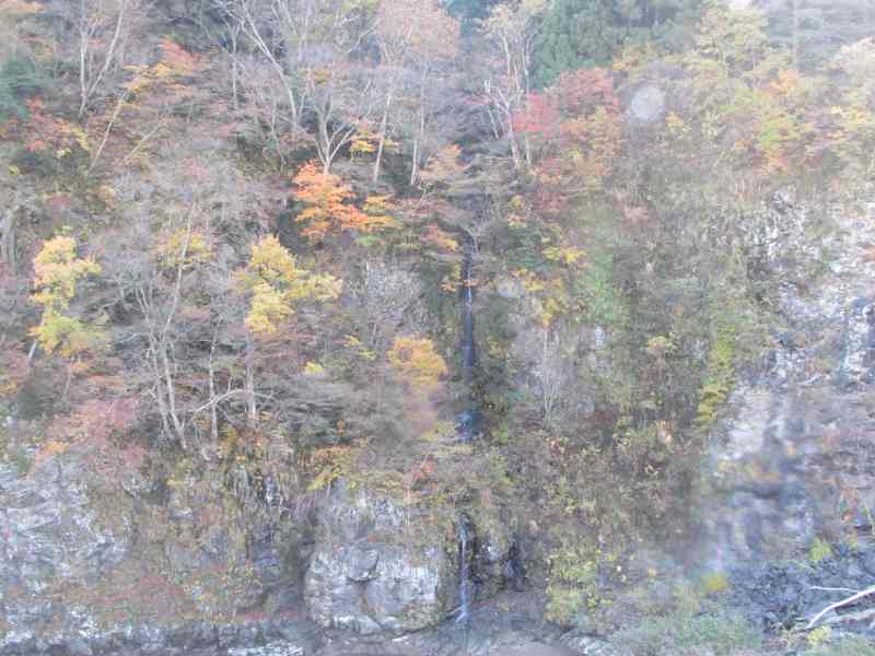 f:id:mannenNA:20201130202920j:plain