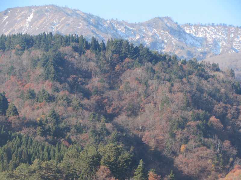 f:id:mannenNA:20201130202952j:plain