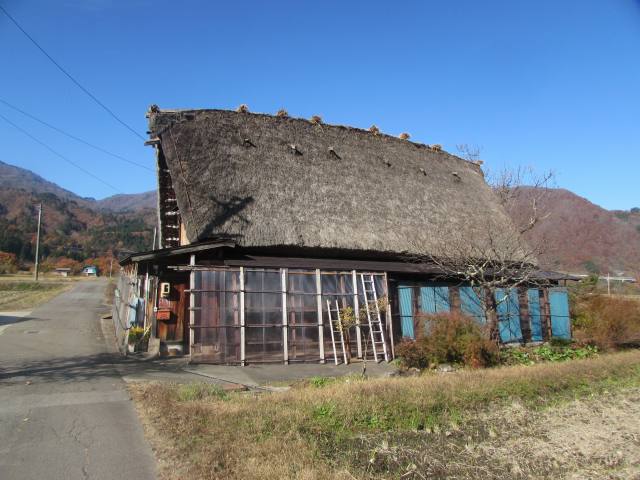 f:id:mannenNA:20201130203227j:plain