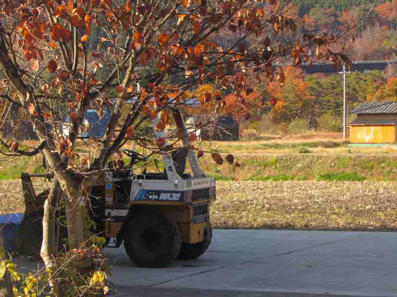 f:id:mannenNA:20201130203250j:plain