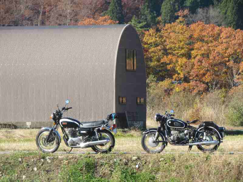 f:id:mannenNA:20201130203536j:plain