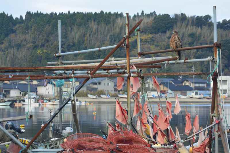 f:id:mannenNA:20201210181503j:plain