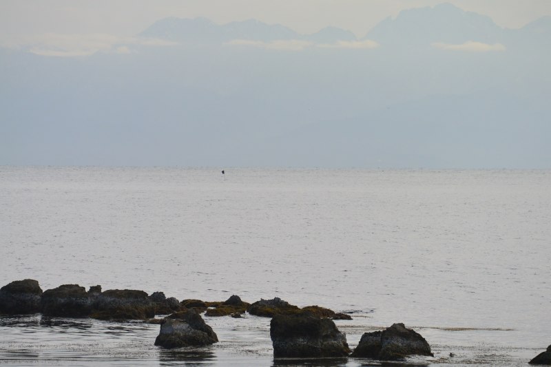 f:id:mannenNA:20201210181544j:plain