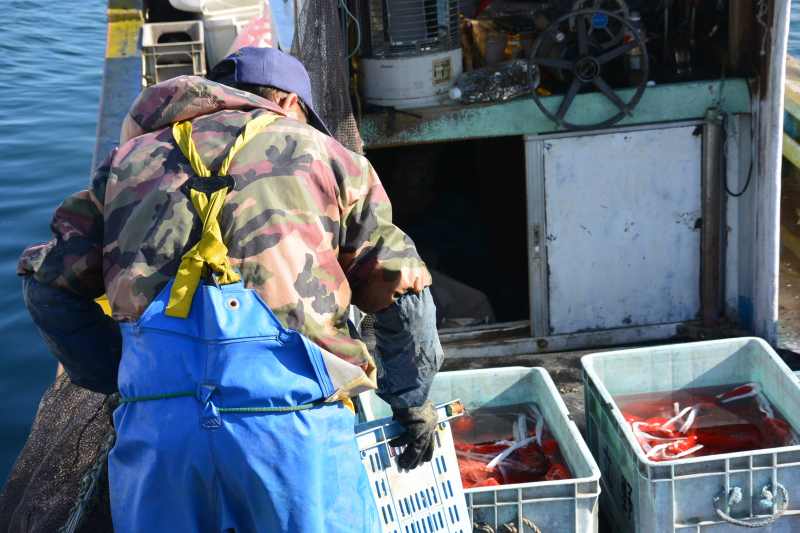 f:id:mannenNA:20201210181616j:plain