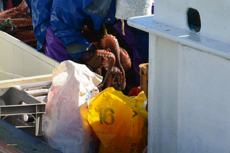 f:id:mannenNA:20201210181704j:plain