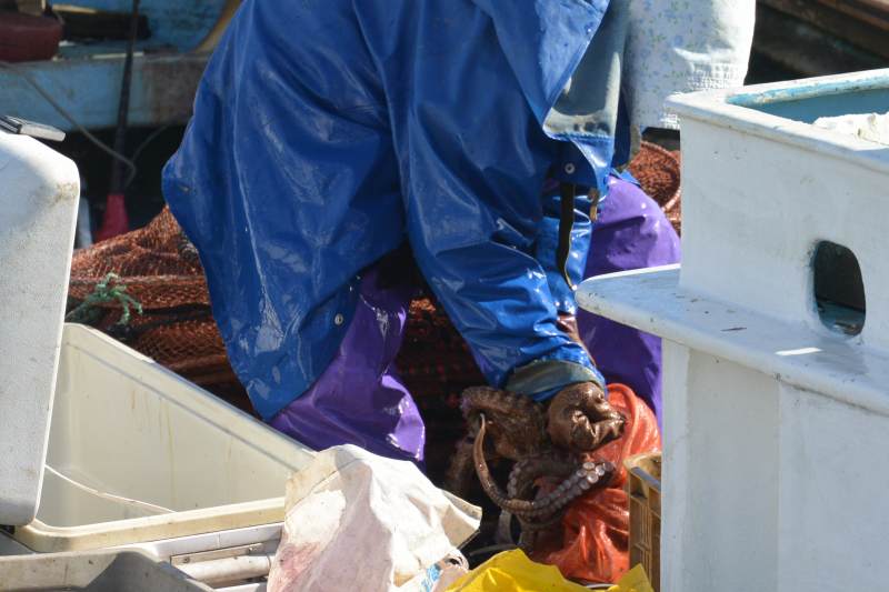 f:id:mannenNA:20201210181717j:plain