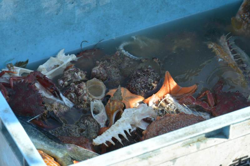 f:id:mannenNA:20201210181740j:plain