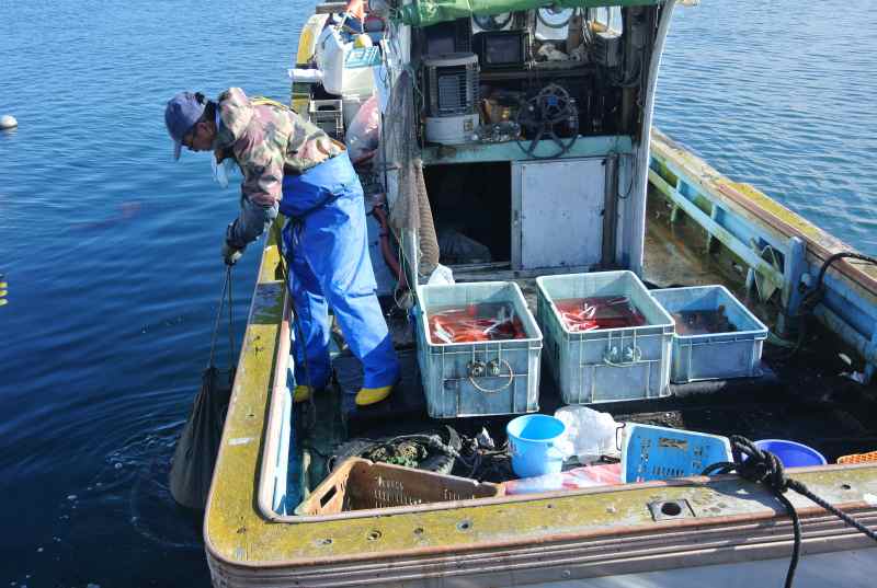 f:id:mannenNA:20201210181843j:plain